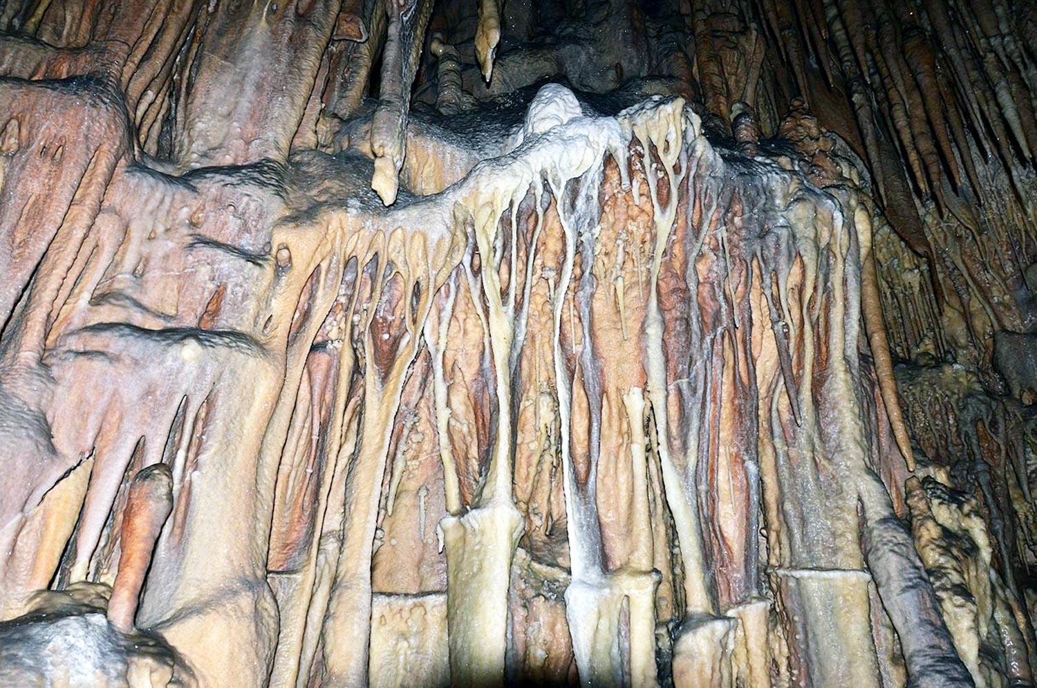 Riserva Naturale Grotta Monello